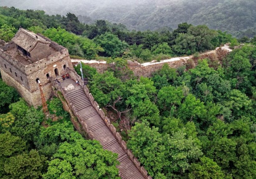 Feb-2021-Blog-2-Image-Single-Next-Step