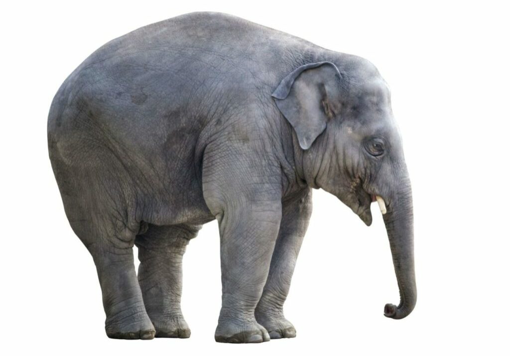 Image-Blog-2-Nov-2021-Making-Money-Managable