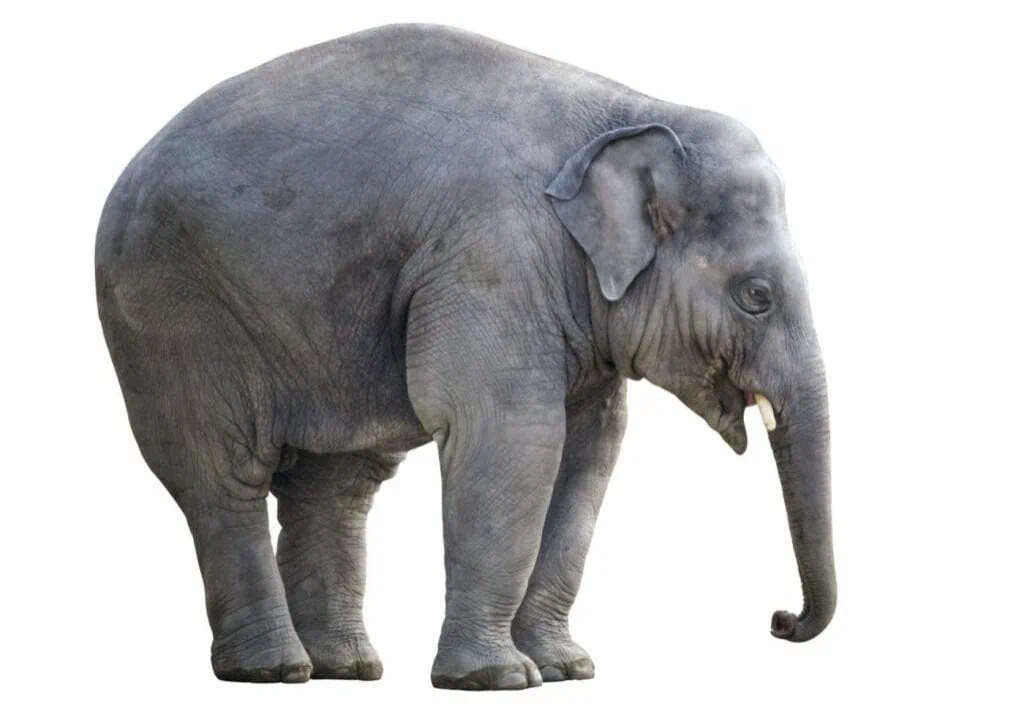 Image-Blog-2-Nov-2021-Making-Money-Managable