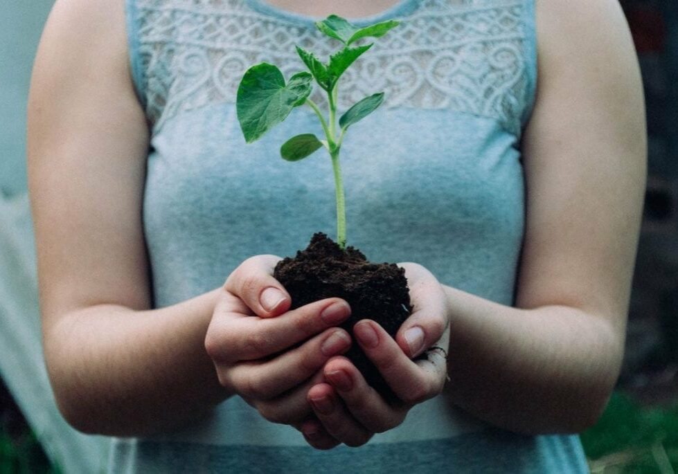 Image-March-2020-Blog-2-ISAs