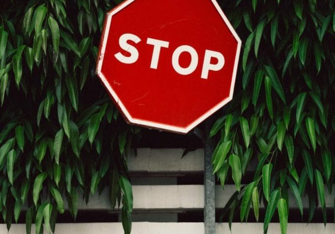 bogomil-mihaylov-661249-unsplash